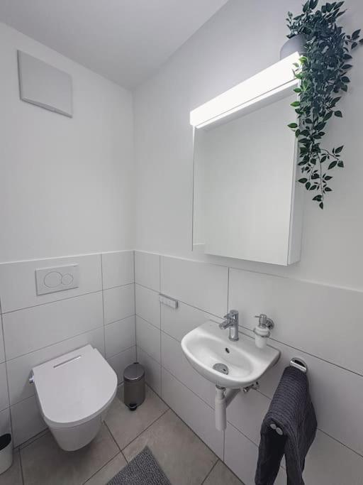 Spacious Apartment Next To Rhine Basel Exterior photo